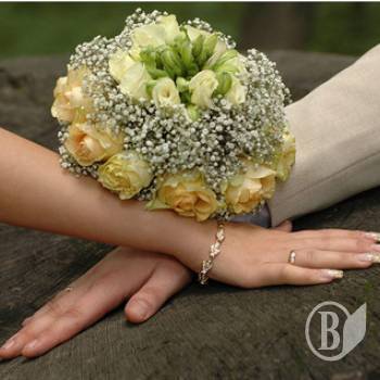 ������� �������� � �� ����������