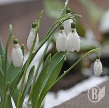  8 ������� � ���� (����)