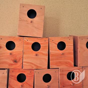 ������� ������! �����