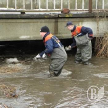 ������������ �������� �� ������������ (����)