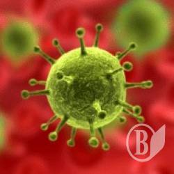 ĳ��� �� ����� ��������