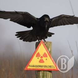 �� ��������� ������������. �����