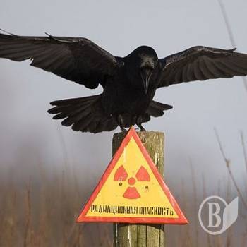 �� ��������� ������������. �����