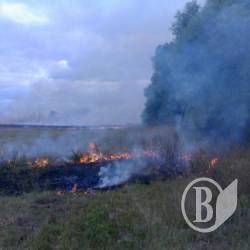 ������� ������� �� ����� (����)