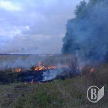 ������� ������� �� ����� (����)