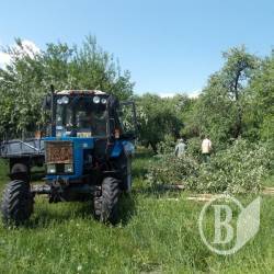 ���� ������ �� ��������� ���������, ��� �� ������� ������� �� �������� (����)