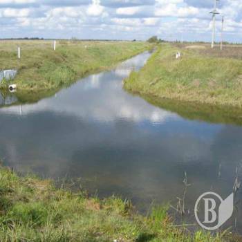 ���� �������. �����: +5 ��