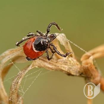 ������� ����� ��� �� ���������� �� ���������� ����?