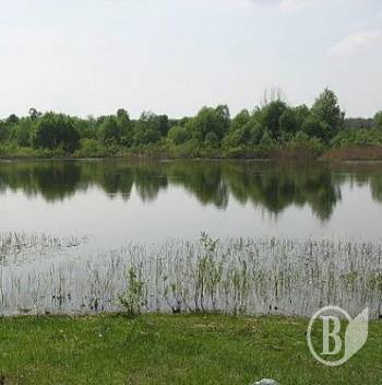 �������� ������� ���������� �����������. �����