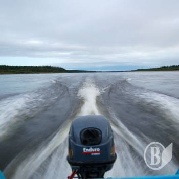 �������� �� ��������