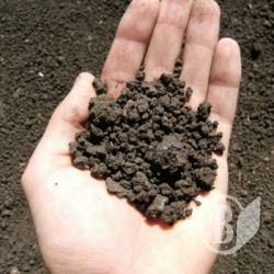 ����������� ������ ��������� ����� �� ��������� �������