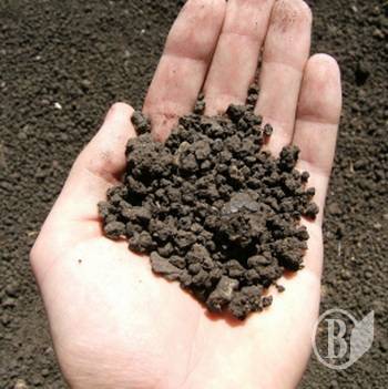 ����������� ������ ��������� ����� �� ��������� �������