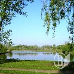 ������� ���  ������������� ����� ��'����