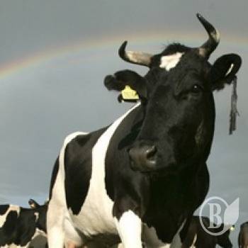 ���������� �������� ����������� �������