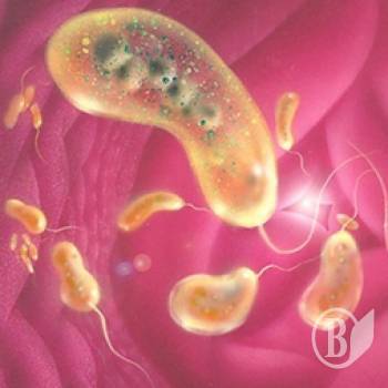 � ����� ������� �������� �����