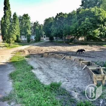 ����� ����������� �������� ������