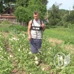 ����������� � ������������ �������� �������?