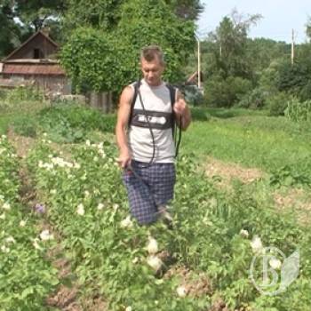 ����������� � ������������ �������� �������?