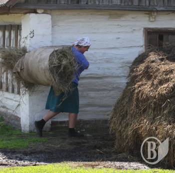 �� �����������  �������� �����������? (�������������)