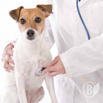 ѳ����� �� ���� ��������� �������� ����� �� ����� �����