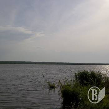 � ����� ������� ��� �� ��� �����