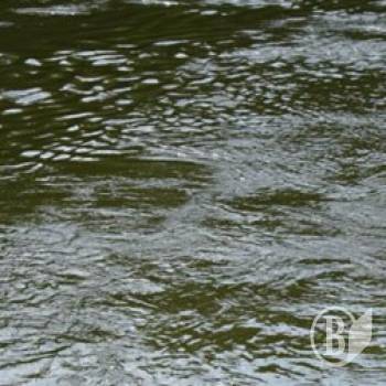 ������� ������ �������