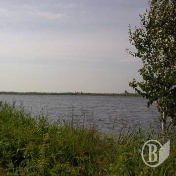 ������ ������� ����� � ������