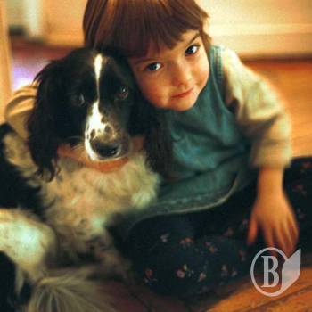 �������� ��������� ����� �������� ��������