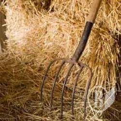 ������ ������ �� ������ �� �����