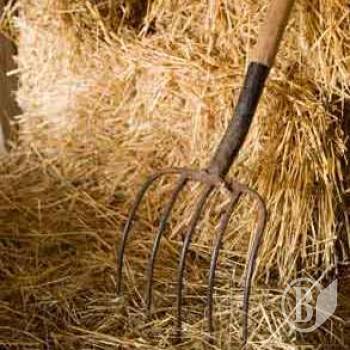 ������ ������ �� ������ �� �����