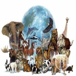 �������� ��� ����� ������