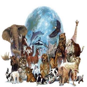 �������� ��� ����� ������