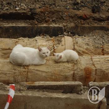 ������� ����� ����, ��� � ��� ��� ���