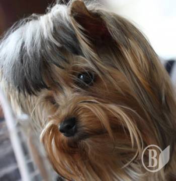 ����� ������� ������ ������. ��� �����������?