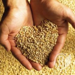 ��� ������� ���� ����� � ������ ������