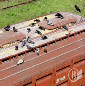  ³����: ����� �������� �������� �� ��������� �����