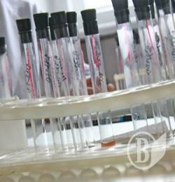  ����������� ������������: ����� ����, � ����������  - �