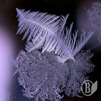  ����� ��������� ��������� ��������!