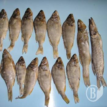 � ���� ������� �� �������