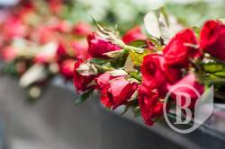 ������ ������� � ����������� ���������� �������