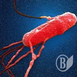 �'����� ������� ������� ������ ���� �������