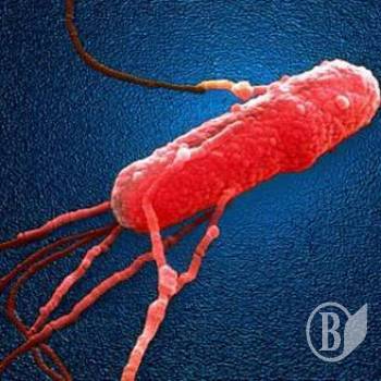 �'����� ������� ������� ������ ���� �������