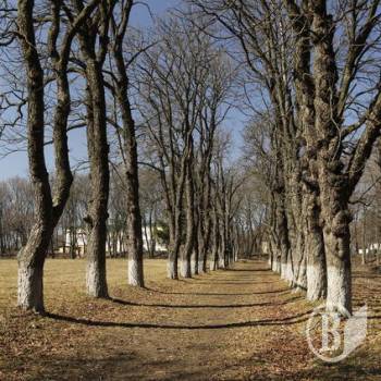 ����� ������� ������ � � ��� � 13 ������ � ������� �� �������