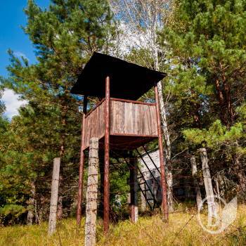 � ������� ����������� ������ �������� ������