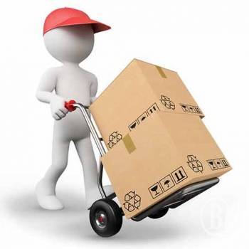 6 �� 10 �볺��� ����� ������������� ����� �����