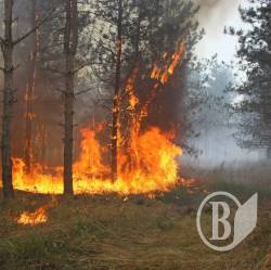 ������ ����� �������, ���� ������ ��������