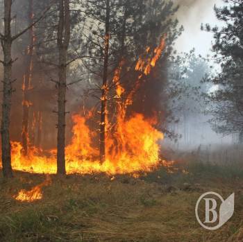 ������ ����� �������, ���� ������ ��������