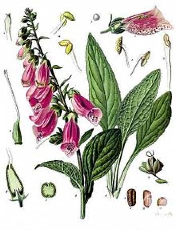 ��� ����� ���������� � ������������� ������