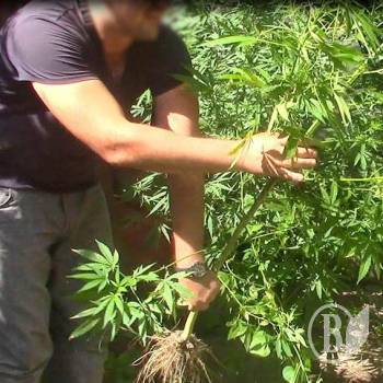 ������ ������� ���������� �������� �� ����� ���������