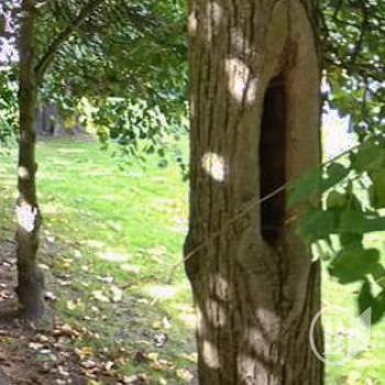 ���� � ��� 䳺 ���������, � �� ����������